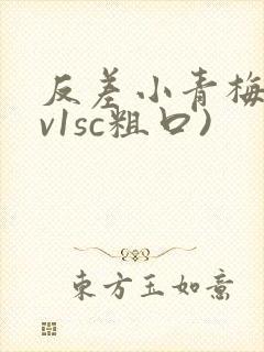 反差小青梅(1v1sc粗口)