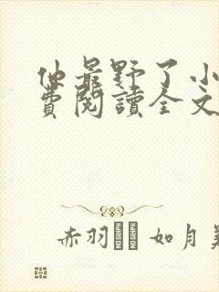 他最野了小说免费阅读全文