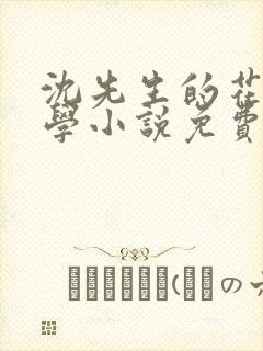 沈先生的花式教学小说免费