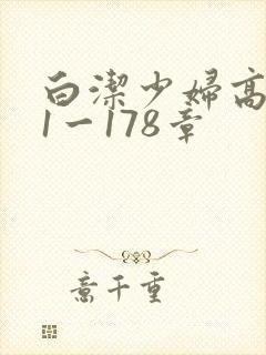 白洁少妇高义第1一178章
