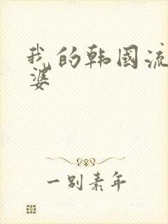 我的韩国流氓老婆