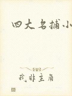 四大名捕小说