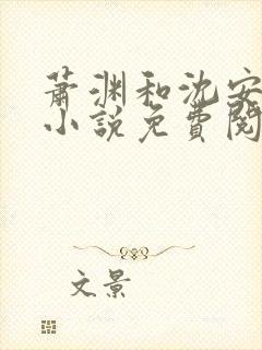 萧渊和沈安安的小说免费阅读