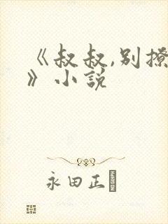 《叔叔,别撩我》小说