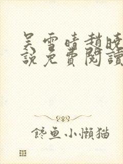 吴雪晴赵晓东小说免费阅读