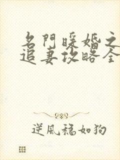 名门暖婚之权爷追妻攻略全文免费阅读