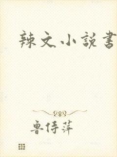 辣文小说书包网