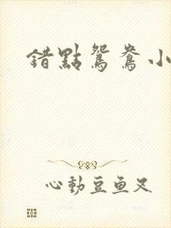 错点鸳鸯小说
