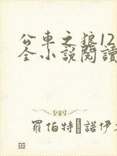 公车之狼12集全小说阅读