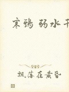 寒鸦 弱水千流