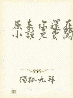 原来你还在这里小说免费阅读