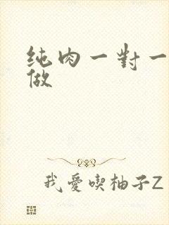 纯肉一对一到处做