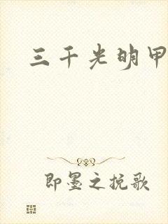 三千光明甲