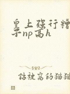 皇上强行糟蹋太子np高h