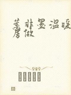 叶非墨温暖在厨房做