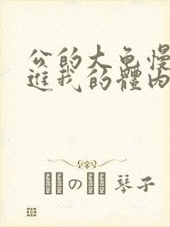 公的大龟慢慢挺进我的体内