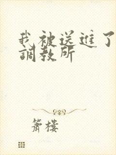 我被送进了私奴调教所