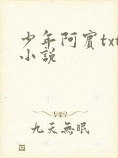 少年阿宾txt小说