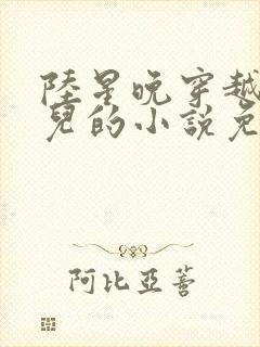 陆星晚穿越成婴儿的小说免费阅读全文