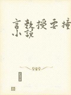 言教授要撞坏了小说