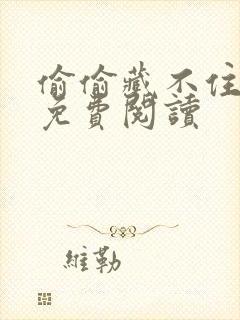 偷偷藏不住小说免费阅读