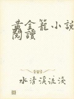 黄金笼小说免费阅读