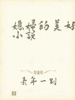 媳妇的美好时代小说