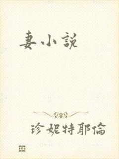 妻小说