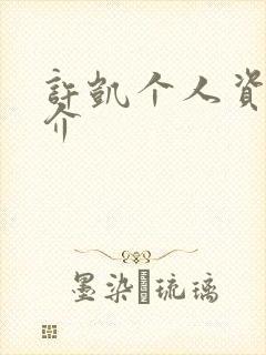 许凯个人资料简介