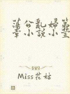 荡公乱妇第51章小说小莹