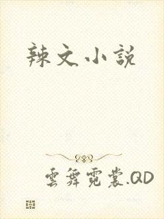 辣文小说
