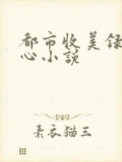 都市收美录宁素心小说