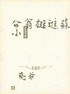 公翁挺进苏玥的小泬