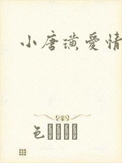 小唐璜爱情历史