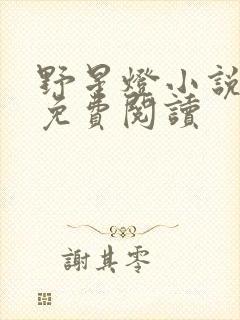 野星灯小说全文免费阅读