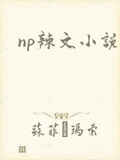 np辣文小说