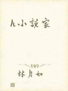 h小说家