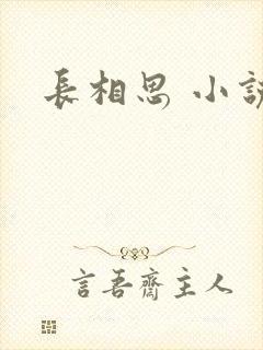 长相思 小说