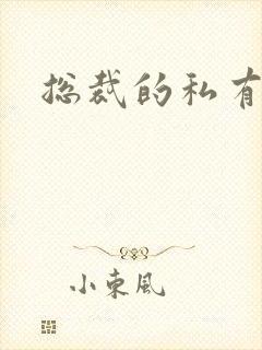 总裁的私有宝贝