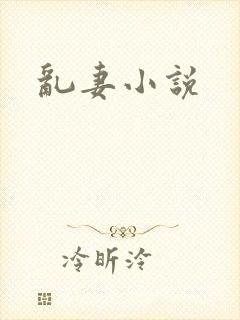 乱妻小说