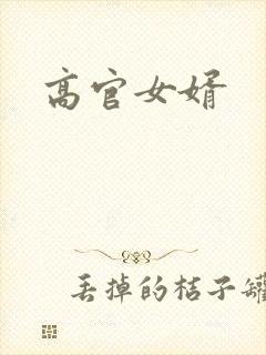 高官女婿