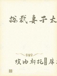 总裁妻子太诱人