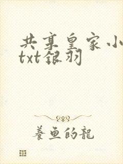 共享皇家小公主txt银羽