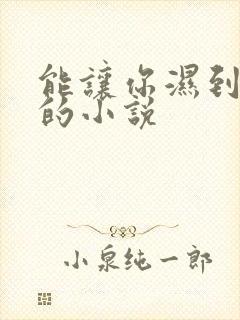 能让你湿到不行的小说