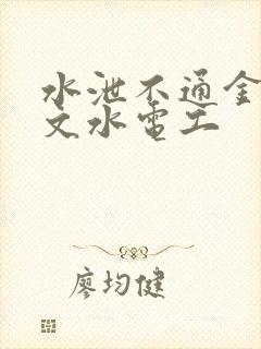 水泄不通金银原文水电工