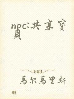 npc:共享宝贝