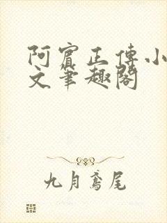 阿宾正传小说全文笔趣阁