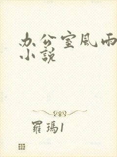 办公室风雨完整小说