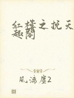 红楼之挽天倾笔趣阁