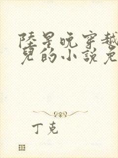 陆星晚穿越成婴儿的小说免费阅读全文